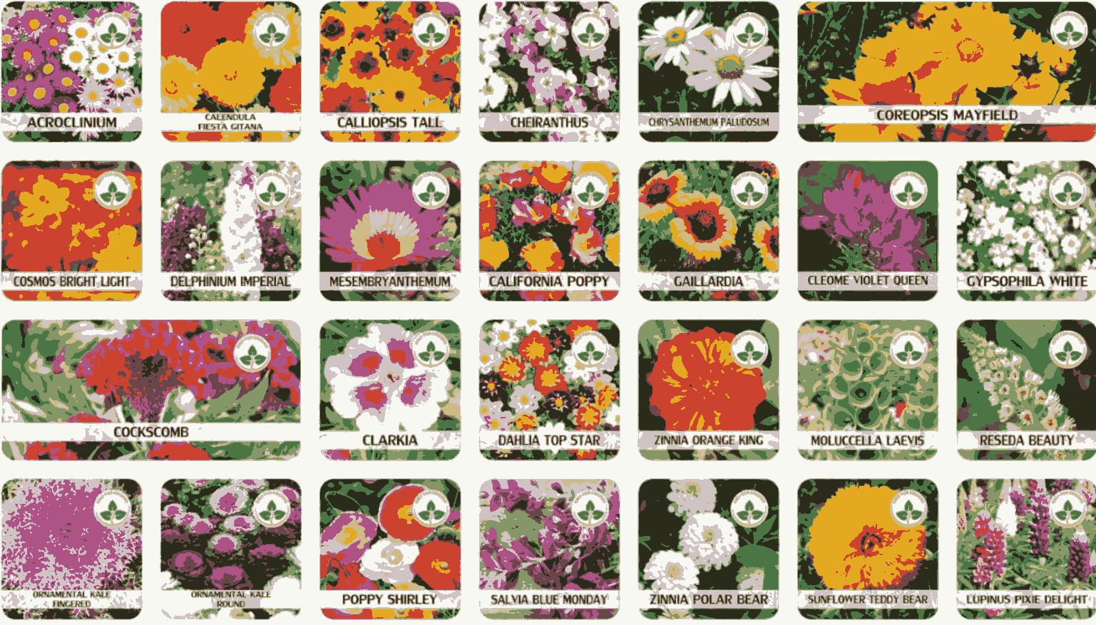 Varieties of Flower Seeds (Pack of 100) Free Plant Growth Supplement