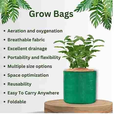 Seeds Grow Bag🍃⚡️